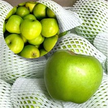 [프레시러시] 아삭한 초록사과 아오리 2kg 3kg 가정용 특품 청사과, 가정용 10kg(40~44과), 1개