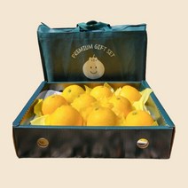 [산지출고] 황금향 선물세트, (가방 추가)5키로 중과 17-25과