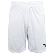 푸마 드라이셀 팀골 23 남성 축구 바지