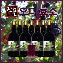 장녹원 오디효소 110ml, 8병