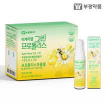 장인정신 에브리데이 그린 프로폴리스 스프레이, 1개, 30ml