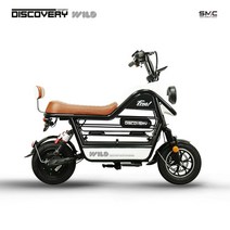 레이윙 디스커버리 와일드 S20 전동스쿠터 48V 700W, 화이트, 28Ah, 1개