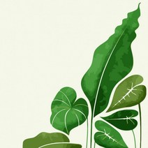 [미쓰미쓰][하모니아트]DIY 유화그리기 그림그리기 세트 유화페인팅 40x50 몬스테라/특 가 세 일, 03. 오렌지 나무