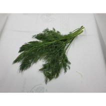채소플러스 허브 딜 100g 생잎 향신료