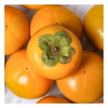 [농부마음] 구례 김상수 농부의 부유 단감 5kg (25과내) - 대과, 상세 설명 참조