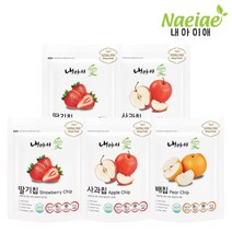 [내아이애] 아이과자 동결건조 과일칩 5종 셋트(추가 증정 이벤트)