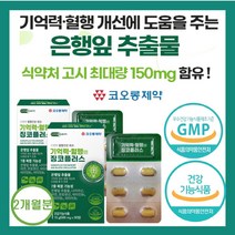 코오롱제약 고함량 징코 기억력 혈행 정맥 은행잎 추출물 뇌 건강 손발 저림 혈관 영양제 다리 종아리 순환제 부모님 집중력 나이아신 아연 판토텐산 혈액 순환 비타민, 2개(2개월)