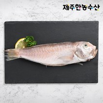 제주웰링 제주마을 흑옥돔 1.2kg, 1개