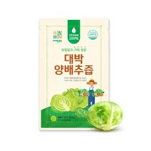 오롯이 통 양배추로만 짠 100% 대박 양배추즙 100포, 1세트