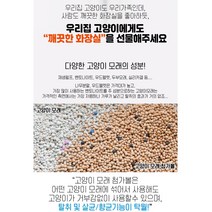고양이 펫 화장실 모래용 똥 오줌 배변 냄새제거, 500g x 2개