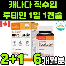 캐나다 뉴테인 루테린 LUTEIN 마리골드 메리골드 꽃 추출물 비타민 A E 베타카로틴 아연 직장인 청소년 50대 60대 부모님 눈 안구 건강 노안 노화 흐림 침침 영양제 추천, 3박스(6개월분)