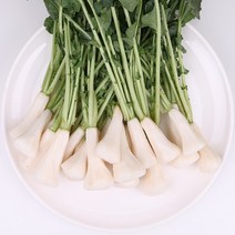 깐 알타리무 1.5kg 팔팔마켓 국산 깐 총각무, kg