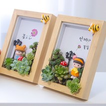 ﻿ DIY 다육 식물 액자 만들기 다육 공예 아트, 다육액자만들기 소년