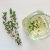 데코용타임 생잎 데코 허브 가니쉬 타임 50g