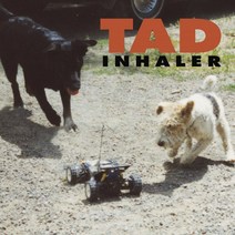 [LP] Tad (태드) - 3집 Inhaler [블랙 & 레드 소용돌이 머트 믹스 컬러 LP] : 2021 RSD 한정반, Real Gone Music (USA), 음반/DVD