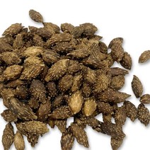 보담다소니 창이자 도꼬마리 말린 수입산 500g, 1봉, 수입산 창이자 500g