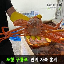 이츠올릿 구룡포 박달 자숙 홍게 3kg 11미내외 포항 속초 연지 홍개 주문진 영덕 대게, 상세페이지 참조, 상세페이지 참조