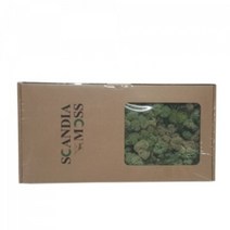 천연이끼 스칸디아모스 민트(150g) - 공기정화 기능 관리쉽고 그늘에서도 잘 자라는 인테리어 식물 취미 원데이 클래스 디퓨저 화분 만들기(4개 이상 주문배송)