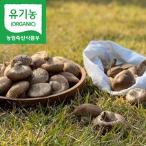 [해담은농장] 유기농 생표고버섯 1kg/4kg 국내산 참나무, 1개, 상품4kg