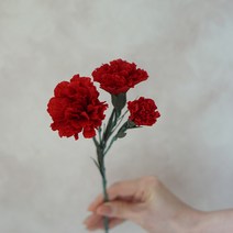 [페이퍼플라워 DIY]주름종이로 카네이션 만들기 키트, 기본키트+포장캐리어+리본, 핑크