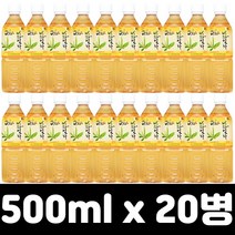 브랜드없음 전남 완도 비파잎차 음료 500ml x 20병(1박스), 단품없음