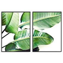 바보사랑 식물액자 나뭇잎 그림 바나나 LEAF 세트.빈페이퍼(무료배송)