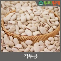 작두콩씨앗 100g 백색 작두콩씨앗 작두콩 국내 채종 종자