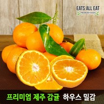 이츠올릿 제주 감귤 소중과 가정용 2kg 제주도 하우스 고당도 귤 타이백 밀감