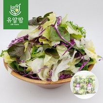 의령농산 유알팜 당일채소 당일제조 당일발송 샐러드1kg 골라담기 9종, 01_혼합 믹스 샐러드 1kg