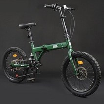 어른용 세발자전거 이색 성인 3발 자전거 여성용 운동용 전동스쿠터 Doki toy 접이식 남성 및 여성 20인치 초경량 보행 대신 소형차, 그린 프로