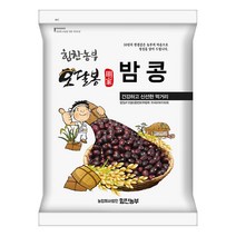 힘찬농부오달봉 2022년산 햇곡 국산 밤콩 울타리콩 양대 울콩, 1개, 3kg