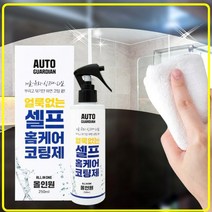 얼룩없는 셀프 홈케어 코팅제 오토가디언 유리막 세정제 청소 거울 창문 유리 250ml