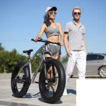 올라운더 명품전기자전거 도시자전거 산악용 배달용, 상세 페이지 참고, 7단 그레이