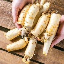 금산 인삼 세척 동가리 대 300g 5뿌리내외 몸통 꿀절임 정과용, 1I9F_세척동가리 중300g