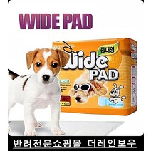 냄새세균 안심 애견패드 30장 애견배변판 강아지용품, 1개