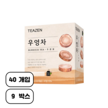 티젠 100세 시대 청춘비법 우엉차, 40g, 40개입, 9개