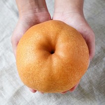 [KT알파쇼핑][산지직송] 가정용 나주 햇배 15kg (13-20과), 1개