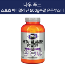 나우푸드 스포츠 베타알라닌 500g 분말 운동 부스터