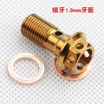 마스터 실린더&부품 범용 M10 x 1.25mm 오토바이 브레이크 마스터 실린더 오일 호스 나사 밴조 볼트 튜브, 05 M10x1.0