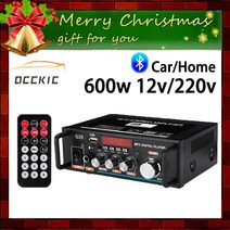 PUZU LVPIN DSP 카오디오 바이크 오토바이앰프 해양보트 600W 블루투스 앰프 110V-220V 2CH HIFI 오디오 스테레오 파워 USB FM 라디오 자동차 홈 시어터, 한개옵션0