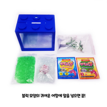 에코에듀 바다새우 키우기 키트 어린이 교육용, 1개
