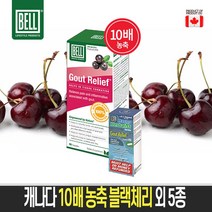 10배 농축 블랙체리 5종 복합 기능성, 1개