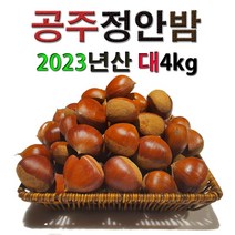 공주밤 정안밤 알밤 햇밤 고맛나루밤 맛 대보 생율 햇 국산 특산물 간식 특산품 왕밤 대4kg