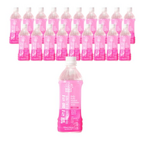 벨리불리 화산용암수 제주 미네랄 500수 음료, 500ml, 160개
