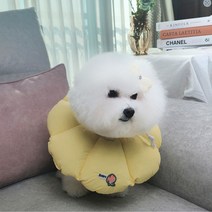 리치독스 강아지 고양이 중성화 자수방수넥카라, 노랑