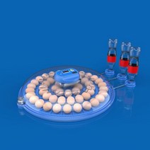 청계알 오골계알 온도조절기 계란 오리알 병아리 부화기 부하기 자동 52 부화장 기계 220/110 농장 온도 습도 제어 장치 신 닭 오리 메추라기 조류 브루더, EU Plug, CHINA, 52 Eggs