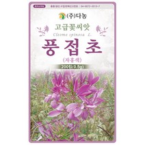 기생초 선홍색 200립 - 야생화 꽃씨 씨 씨앗 국화 꽃씨앗 야생화씨앗 고급꽃씨 고급꽃씨앗, 19_다농_풍접초(자홍색)(0.5g)