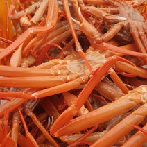 국내산 동해 홍게 3kg 자숙 / 대게 구룡포 손님맞이 가성비좋은, 1개
