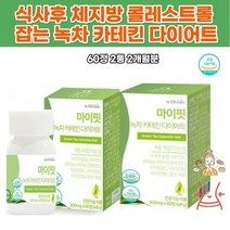 카테틴다이어트 엽산 녹차 내장지방 중년뱃살 단기플랜 여성 한달 판토텐산 허릿살 복부 단기다이어트