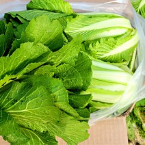 얼갈이 배추 햇 얼갈이 4kg 부드러운 전라도 얼갈이 최상품 김치용 요리용 인피솔, 1박스
